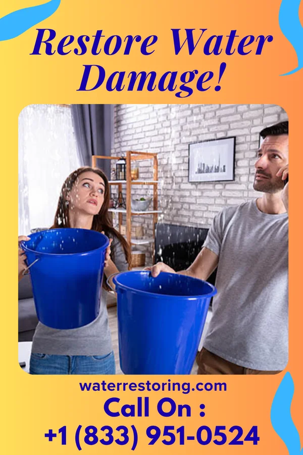 water restoration Ultimate Water Damage Company Naples