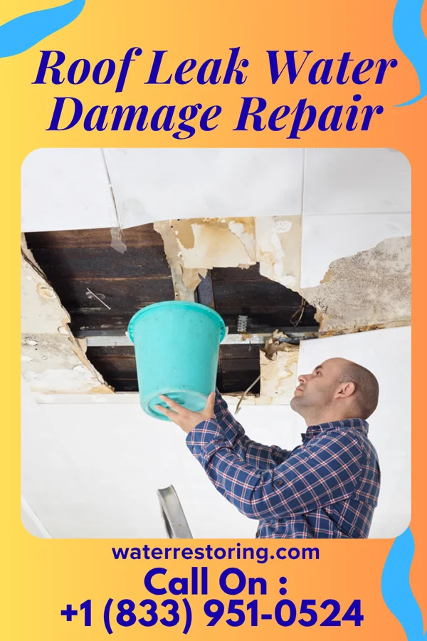 Roof Leak Water Damage Repair in Naples, TX